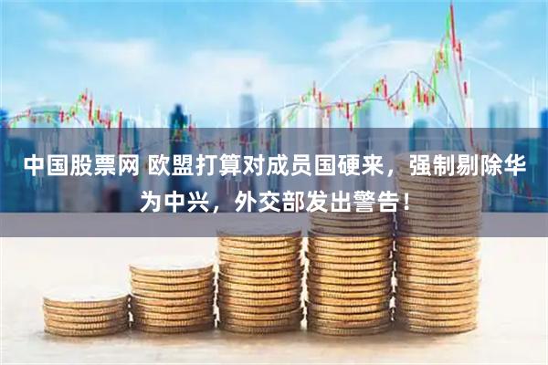 中国股票网 欧盟打算对成员国硬来，强制剔除华为中兴，外交部发出警告！