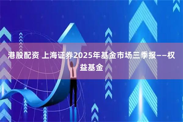 港股配资 上海证券2025年基金市场三季报——权益基金
