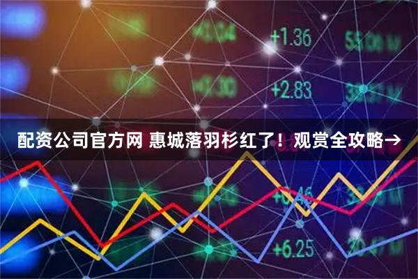 配资公司官方网 惠城落羽杉红了！观赏全攻略→
