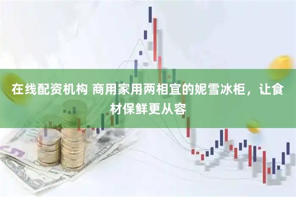 在线配资机构 商用家用两相宜的妮雪冰柜，让食材保鲜更从容