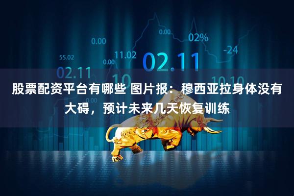 股票配资平台有哪些 图片报：穆西亚拉身体没有大碍，预计未来几天恢复训练